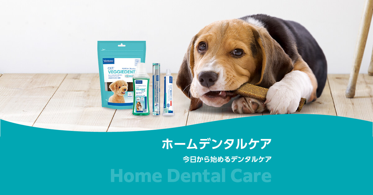 ホームデンタルケア｜ビルバックが提案する3つのデンタルケア