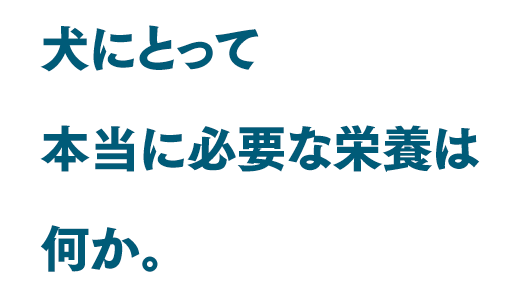 犬にとって本当に必要な栄養は何か。