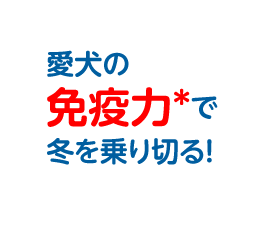 愛犬の免疫力で冬を乗り切る