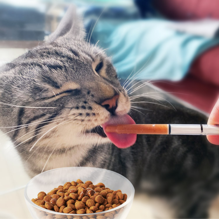 フェルロ　猫用　健康補助食品　排尿習慣サポート Amazon | ビルバック (Virbac) 301842 猫用 フェルロ 60ml 猫 60