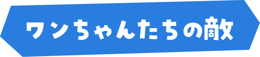 ワンちゃんたちの敵