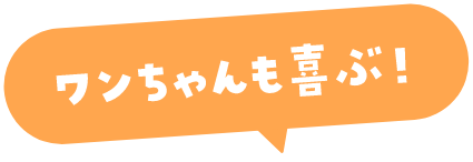 ワンちゃんも喜ぶ！