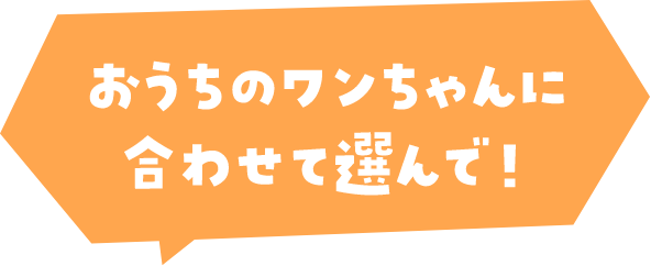 おうちのワンちゃんに合わせて選んで！