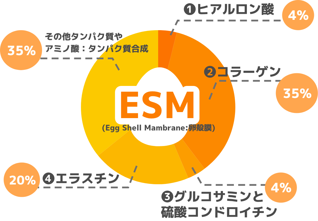 モボフレックスに含まれるESMの含有内訳を示した円グラフ。ヒアルロン酸4%、コラーゲン35%、グルコサミンと硫酸コンドロイチン4%、エラスチン20%、その他タンパク質やアミノ酸:タンパク質合成35%