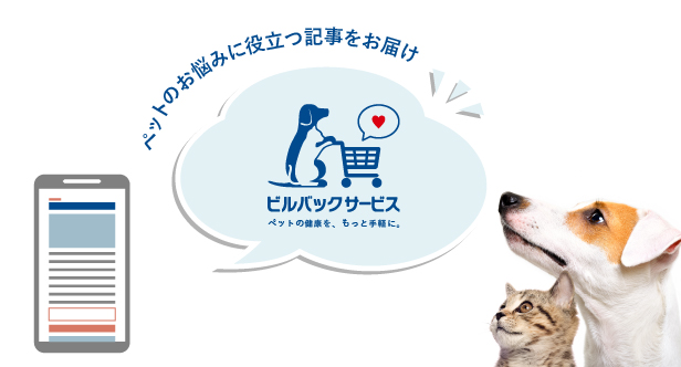 愛犬が散歩を嫌がる場合の対処法は 嫌がる理由や散歩の役割も解説